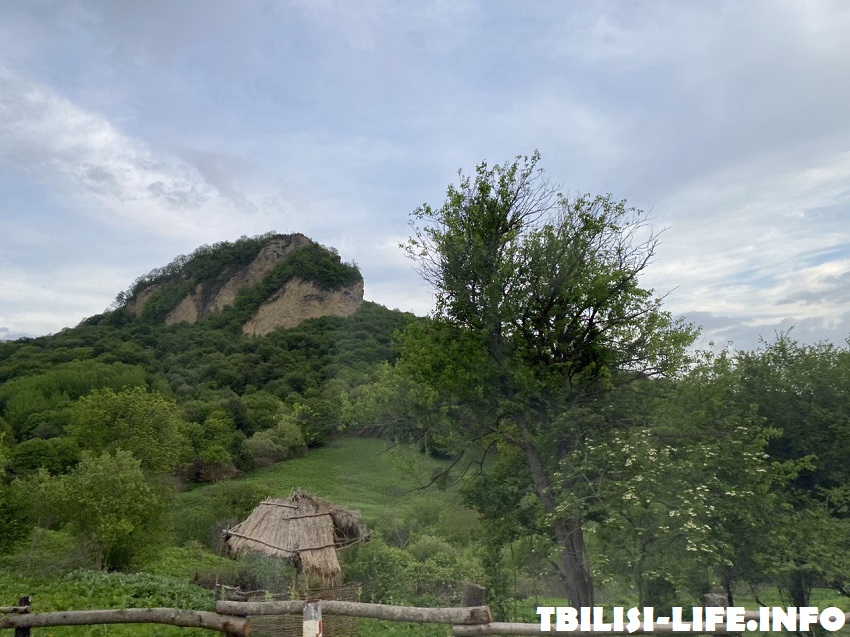 Экскурсия из Тбилиси в Кахетию