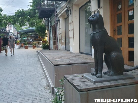 Кошки в Тбилиси